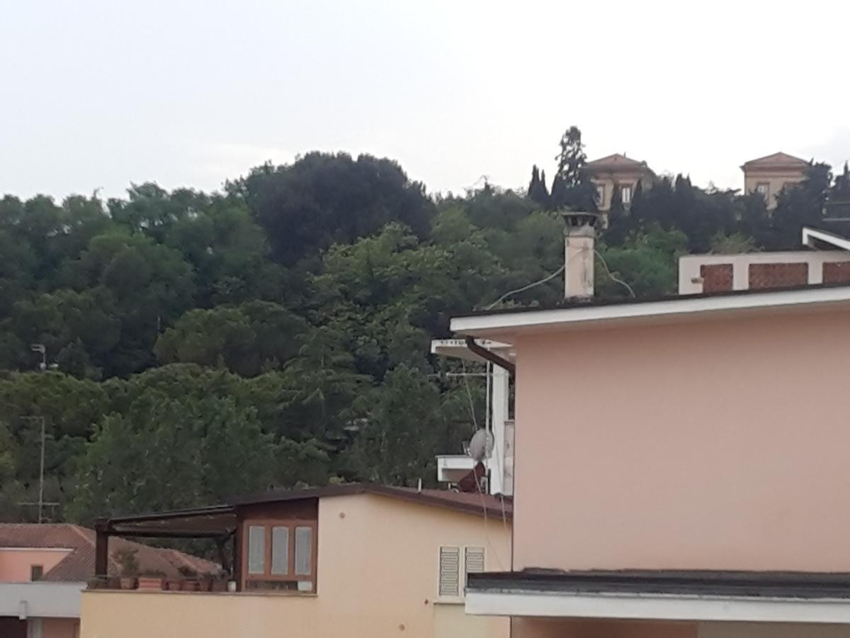Hotel Antares Garni Giulianova Exteriér fotografie